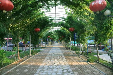 園林景觀 山東奧景園林 園林工程價格 園林景觀 山東奧景園林 園林工程型號規(guī)格