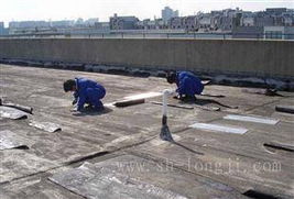 2013年蘇州昌達(dá)屋頂防水補(bǔ)漏與滄浪區(qū)水電維修服務(wù)解析
